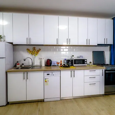 Modern & Comfortable Cismigiu Park - Pop3 Appartement