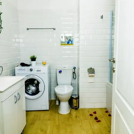 Modern & Comfortable Cismigiu Park - Pop3 *