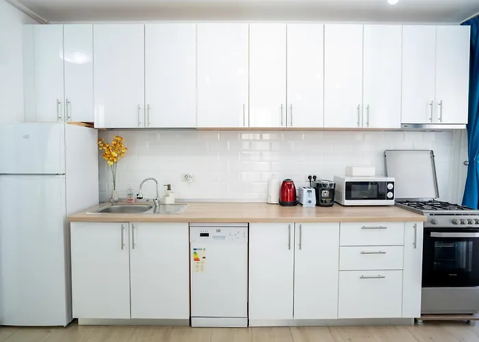 Modern & Comfortable Cismigiu Park - Pop3